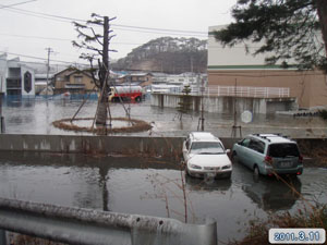 魚市場の画像15