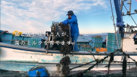 観光動画浦戸朴島