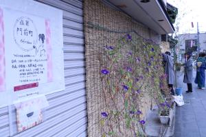 朝顔の掲出の様子